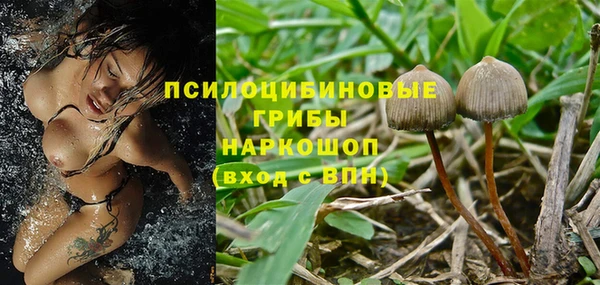 герыч Алзамай