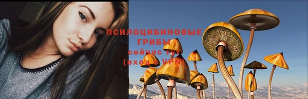 герыч Алзамай