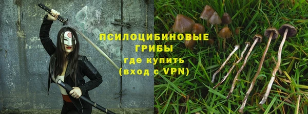 спайс Алексин