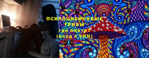 дмт Алексеевка