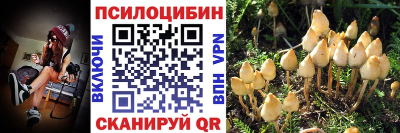 Галлюциногенные грибы мухоморы  Шелехов 