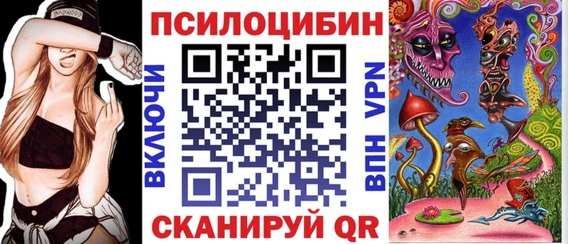 Галлюциногенные грибы Psilocybine cubensis Шелехов